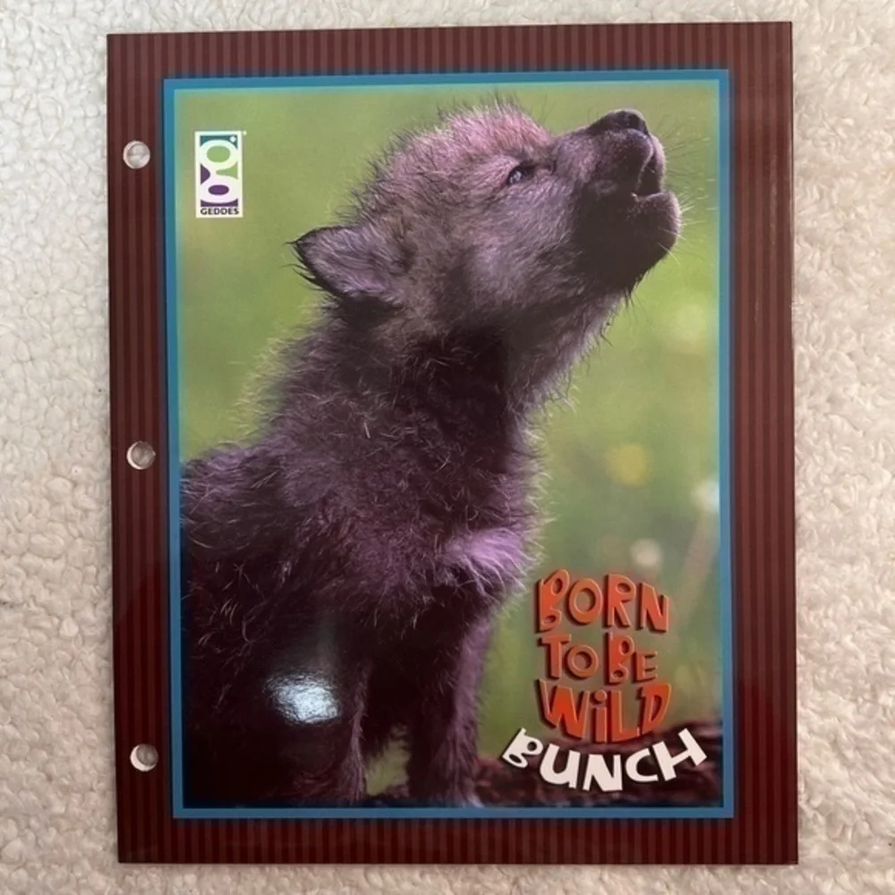 Born To Be Wild Bunch 2-Pocket Portfolio Folders - Pack of 3